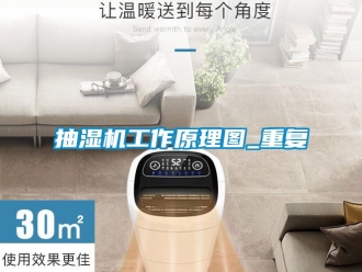 企业动态抽湿机工作原理图_重复