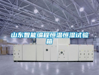 知识百科山东智能编程恒温恒湿试验箱