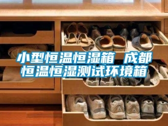 知识百科小型恒温恒湿箱 成都恒温恒湿测试环境箱