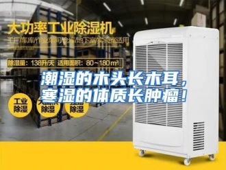 知识百科潮湿的木头长木耳，寒湿的体质长肿瘤！