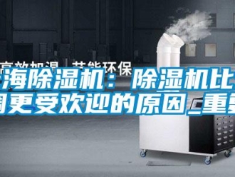 行业资讯上海除湿机：除湿机比空调更受欢迎的原因_重复