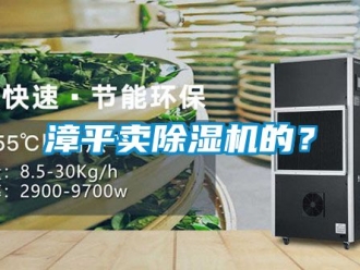 行业资讯漳平卖除湿机的？