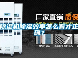 常见问题除湿机除湿效率怎么看才正确？