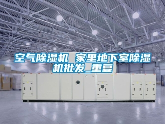 行业资讯空气除湿机 家里地下室除湿机批发_重复