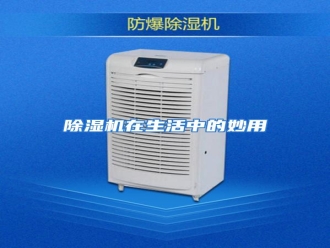 知识百科除湿机在生活中的妙用