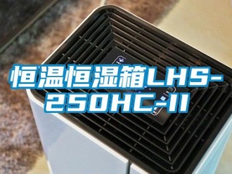 知识百科恒温恒湿箱LHS-250HC-II