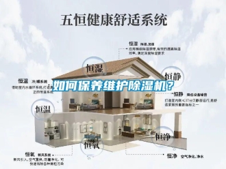 行业资讯如何保养维护除湿机？