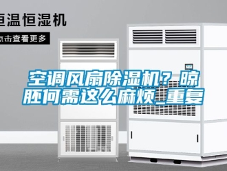 行业资讯空调风扇除湿机？晾胚何需这么麻烦_重复