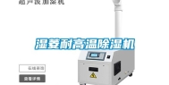 湿菱耐高温除湿机