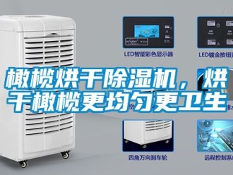 行业资讯橄榄烘干除湿机，烘干橄榄更均匀更卫生