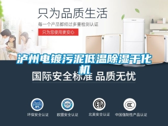 行业资讯泸州电镀污泥低温除湿干化机