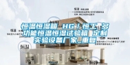 恒温恒湿箱 HG／恒工 多功能恒温恒湿试验箱 定制实验设备厂家_重复