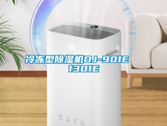 行业资讯冷冻型除湿机DJ-901E  1301E