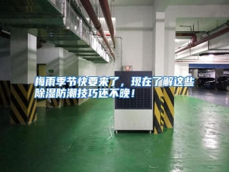 行业资讯梅雨季节快要来了，现在了解这些除湿防潮技巧还不晚！