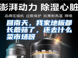 常见问题回南天，我家地板都长蘑菇了，还去什么菜市场呀