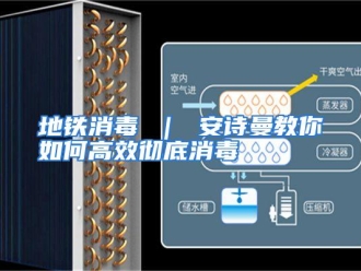 常见问题地铁消毒 ｜ 安诗曼教你如何高效彻底消毒