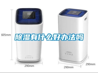 常见问题除湿有什么好办法吗