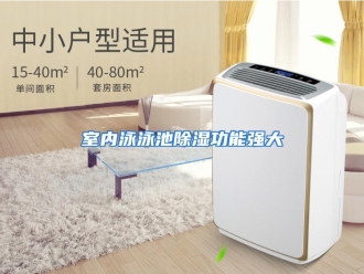 行业资讯室内泳泳池除湿功能强大