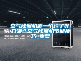 行业资讯空气除湿机哪一个牌子好,有哪些空气除湿机节能技巧_重复