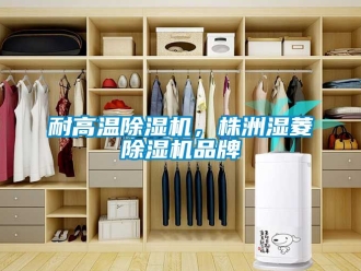 企业动态耐高温除湿机，株洲湿菱除湿机品牌