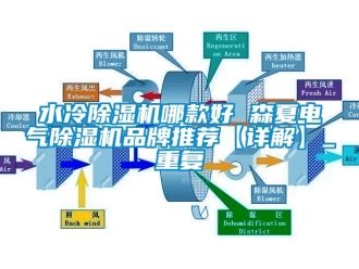 企业动态水冷除湿机哪款好 森夏电气除湿机品牌推荐【详解】_重复