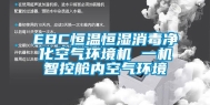 EBC恒温恒湿消毒净化空气环境机 一机智控舱内空气环境