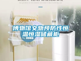 知识百科博物馆文物预防性恒温恒湿储藏柜