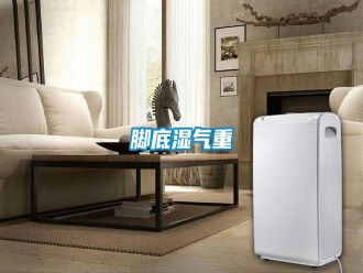 行业资讯脚底湿气重