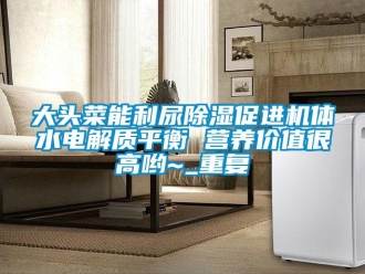 行业资讯大头菜能利尿除湿促进机体水电解质平衡 营养价值很高哟~_重复