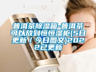 知识百科普洱茶除湿箱-普洱茶可以放到恒恒湿柜(5日更新／今日图文)2022已更新