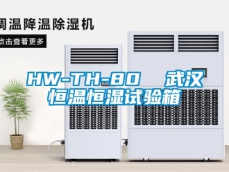 常见问题HW-TH-80  武汉恒温恒湿试验箱