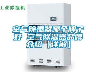 行业资讯空气除湿器哪个牌子好 空气除湿器品牌介绍【详解】