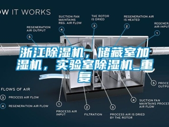 行业资讯浙江除湿机，储藏室加湿机，实验室除湿机_重复