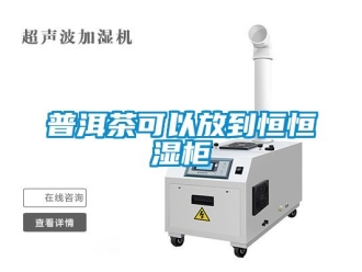 知识百科普洱茶可以放到恒恒湿柜
