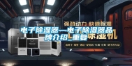 电子除湿器—电子除湿器品牌介绍_重复