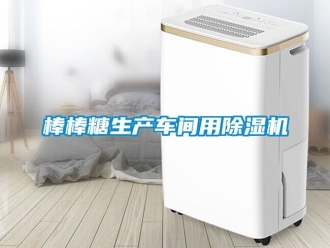 企业动态棒棒糖生产车间用除湿机
