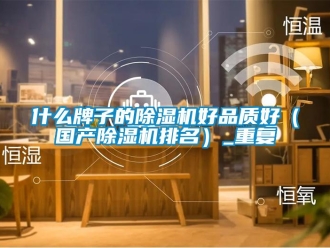 行业资讯什么牌子的除湿机好品质好（国产除湿机排名）_重复