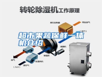知识百科超市果蔬保鲜一体机介绍