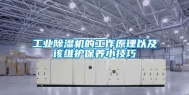 工业除湿机的工作原理以及该维护保养小技巧