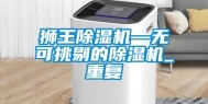 狮王除湿机—无可挑剔的除湿机_重复