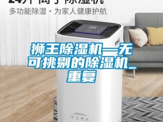 行业资讯狮王除湿机—无可挑剔的除湿机_重复