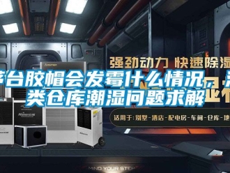 企业动态茅台胶帽会发霉什么情况，酒类仓库潮湿问题求解