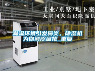 企业动态潮湿环境引发鼻炎，除湿机为你解除困扰_重复