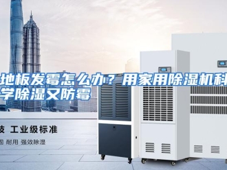 常见问题地板发霉怎么办？用家用除湿机科学除湿又防霉