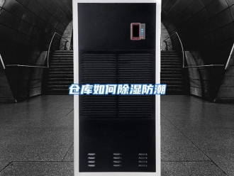 常见问题仓库如何除湿防潮