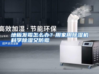 常见问题地板发霉怎么办？用家用除湿机科学除湿又防霉