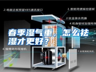 常见问题春季湿气重，怎么祛湿才更好？