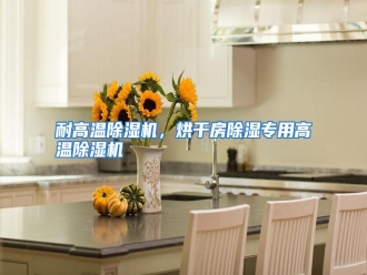 行业资讯耐高温除湿机，烘干房除湿专用高温除湿机