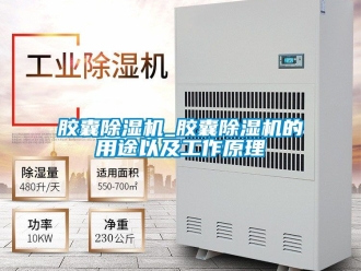 行业资讯胶囊除湿机_胶囊除湿机的用途以及工作原理