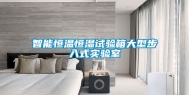 智能恒温恒湿试验箱大型步入式实验室
